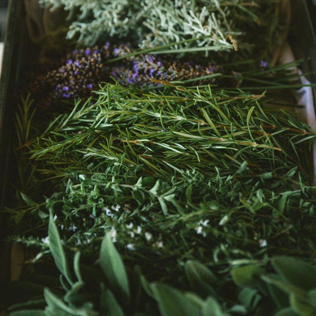 Herbaceous Scents | Luxury Home Fragrance Collection