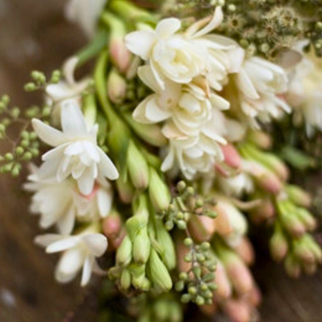 Délice Des Dieux | Sweet Summer Florals Scented Luxury Candle