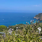 An Italian Riviera vacation, the citrus trees and aromatic herbs scents mixed with the sea breeze are so fresh, energising & uplifting - the scent and scenic landscapes captured in home fragrance Cala Grande  