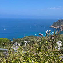 An Italian Riviera vacation, the citrus trees and aromatic herbs scents mixed with the sea breeze are so fresh, energising & uplifting - the scent and scenic landscapes captured in home fragrance Cala Grande  