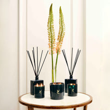 Classic Candle & Diffuser Gift Set | Luxury Home Fragrance Collection