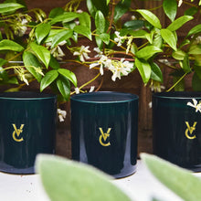 Reine de la Nuit | Jasmine Scented Luxury Candle