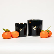 orange blossom scented candle similar to Trudon Odalisque with an amber woody depth in luxury glass candle vessel, and premium scent profile