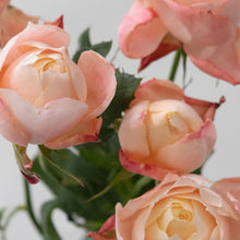 La Vie En Rose | A Perfect Rose Scented Luxury Candle